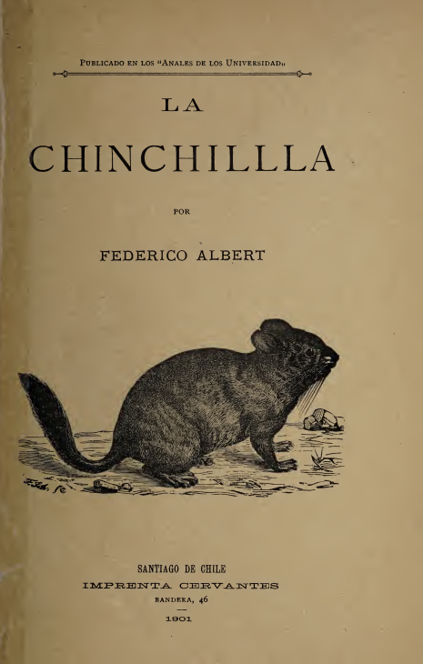 F.Albert - La Chinchilla